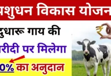 दुधारू पशु की खरीदी पर सरकार दे रही है 90% का अनुदान, ऐसे करें आवेदन